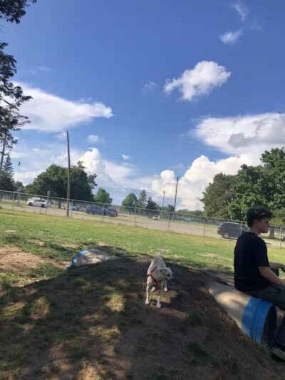 Home Run Dog Park - Battle Creek,
