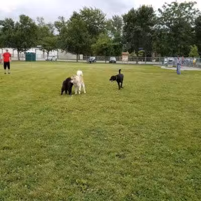 Bay County Dog Park - Bay City, MI