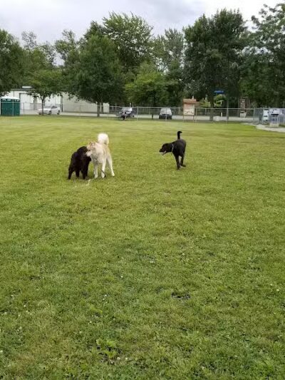Bay County Dog Park - Bay City, MI