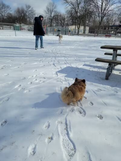 Bay County Dog Park - Bay City, MI