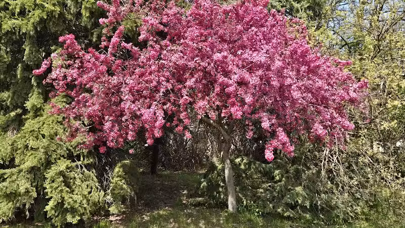 DeFoe Park - Bay City,