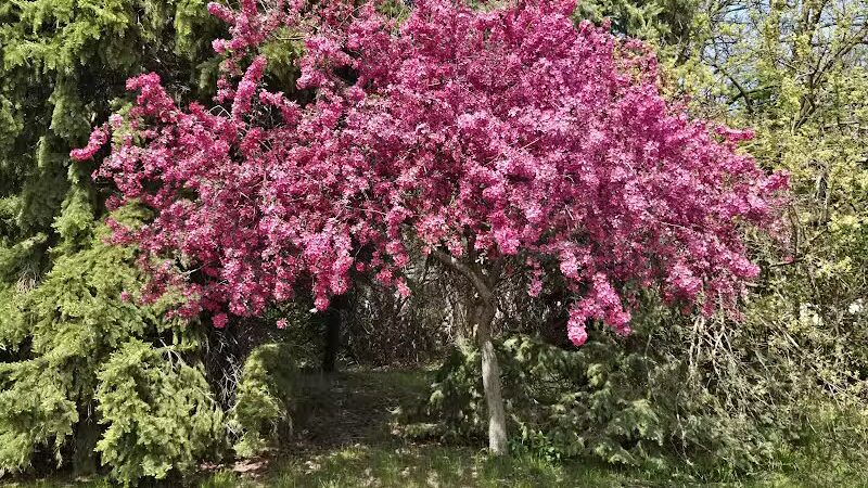 DeFoe Park - Bay City,