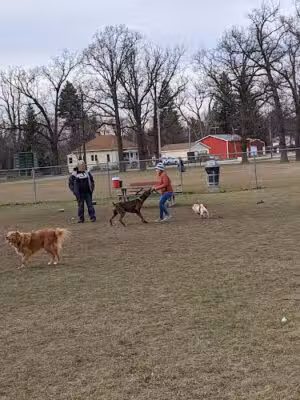 Bay County Dog Park - Bay City, MI
