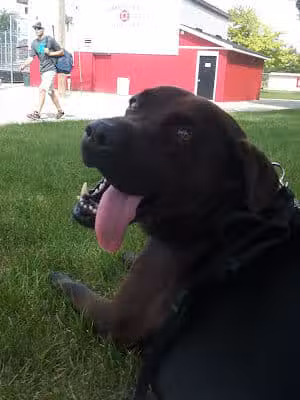 DeFoe Park - Bay City,