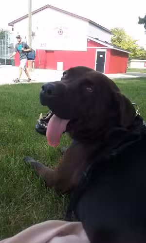 DeFoe Park - Bay City,