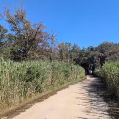 Gardiner County Park - Bay Shore, NY