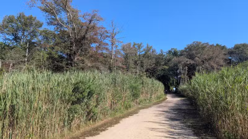 Gardiner County Park - Bay Shore, NY