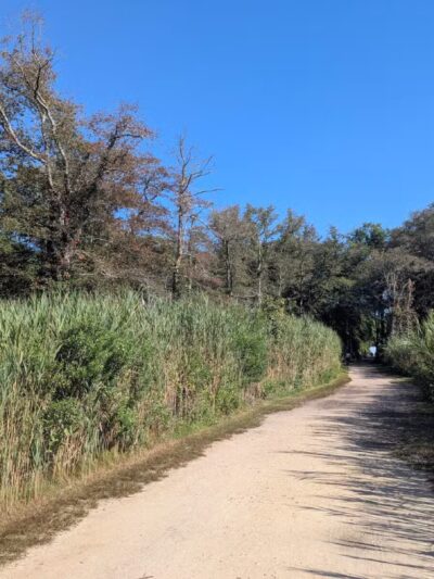Gardiner County Park - Bay Shore, NY
