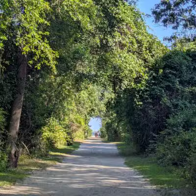 Gardiner County Park - Bay Shore, NY