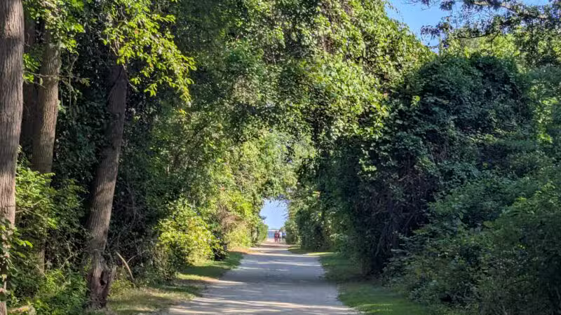 Gardiner County Park - Bay Shore, NY