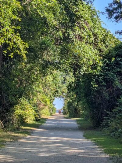 Gardiner County Park - Bay Shore, NY