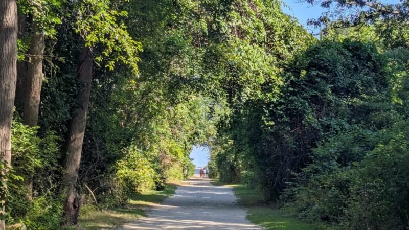 Gardiner County Park - Bay Shore, NY