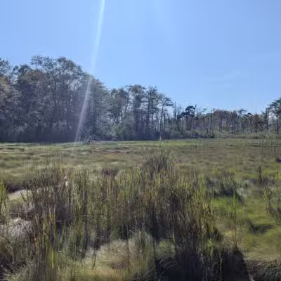 Gardiner County Park - Bay Shore, NY
