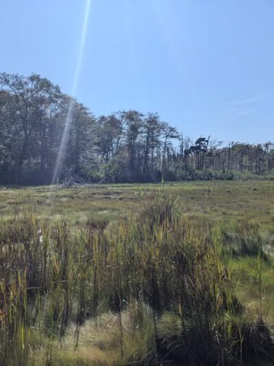 Gardiner County Park - Bay Shore, NY