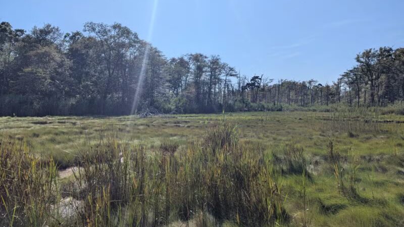 Gardiner County Park - Bay Shore, NY