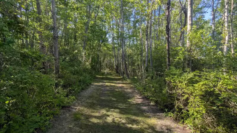 Gardiner County Park - Bay Shore, NY