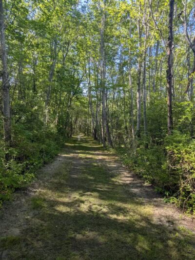 Gardiner County Park - Bay Shore, NY