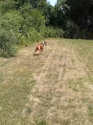 Anthony Casamento Park - Bay Shore, NY