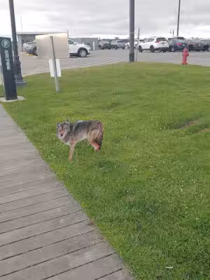 Bay Shore Manor Park - Bay Shore, NY