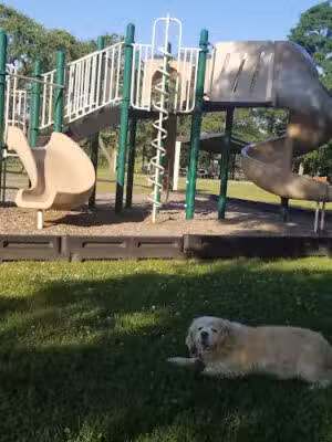 Gardiner County Park - Bay Shore, NY