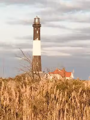 Robert Moses State Park Field 5 - Bay Shore, NY