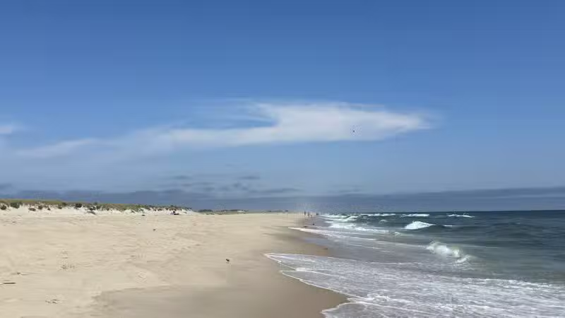 Robert Moses State Park Field 5 - Bay Shore, NY