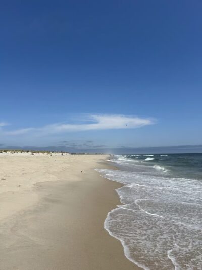 Robert Moses State Park Field 5 - Bay Shore, NY