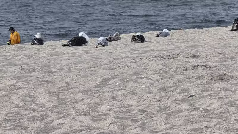 Robert Moses State Park Field 5 - Bay Shore, NY