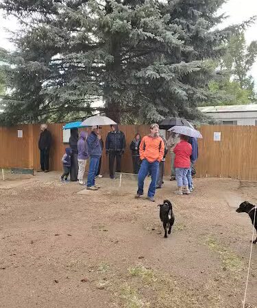 Eagle Park - Bayfield, CO