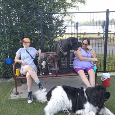 Sgt. Vincent J. Olivia Mini Dog Park - Bayonne, NJ