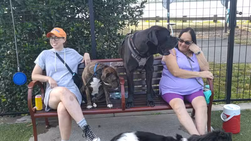 Sgt. Vincent J. Olivia Mini Dog Park - Bayonne, NJ