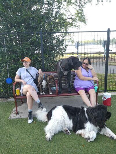 Sgt. Vincent J. Olivia Mini Dog Park - Bayonne, NJ