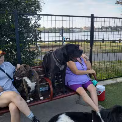 Sgt. Vincent J. Olivia Mini Dog Park - Bayonne, NJ