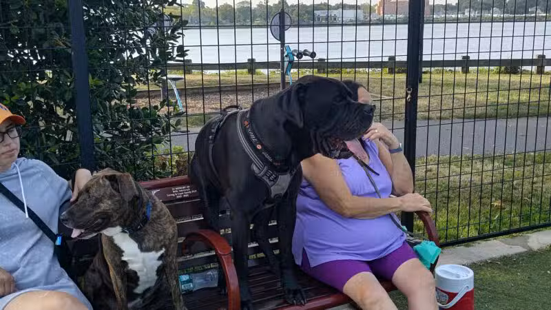 Sgt. Vincent J. Olivia Mini Dog Park - Bayonne, NJ