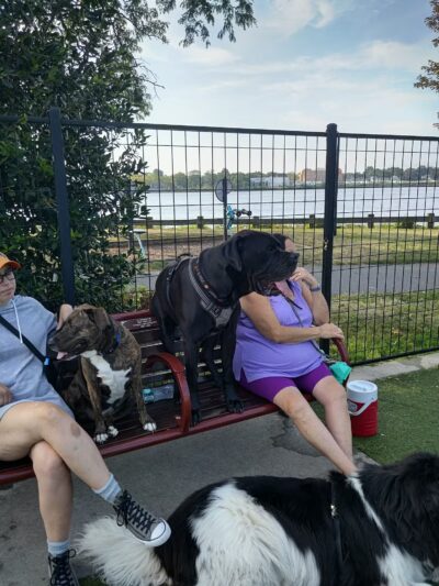Sgt. Vincent J. Olivia Mini Dog Park - Bayonne, NJ