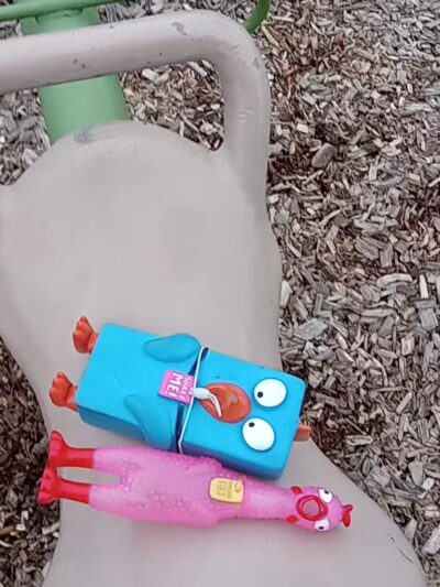 Barkers Alps Park - Bayport, MN