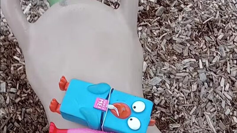 Barkers Alps Park - Bayport, MN