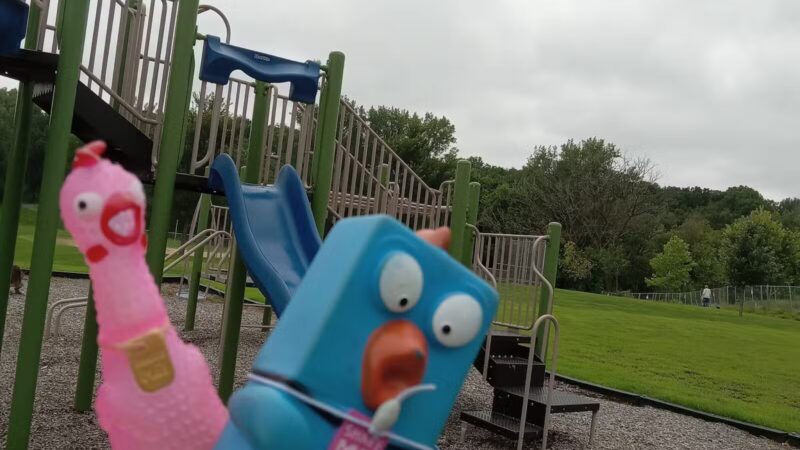 Barkers Alps Park - Bayport, MN