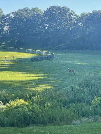 Barkers Alps Park - Bayport, MN