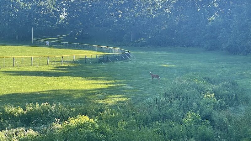 Barkers Alps Park - Bayport, MN