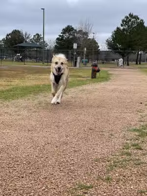 Baytown Bark Park - Baytown, TX