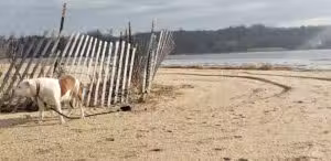 Centre Island Beach - Bayville, NY