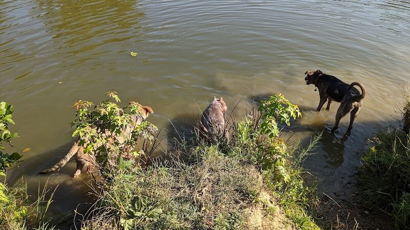 Lums Pond Dog Park - Bear, DE