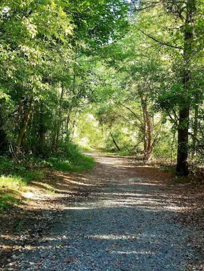 Lums Pond Dog Park - Bear, DE