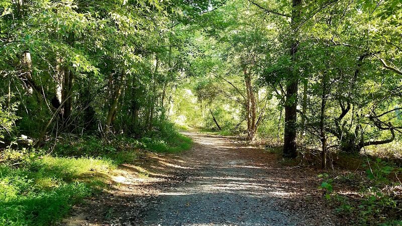 Lums Pond Dog Park - Bear, DE