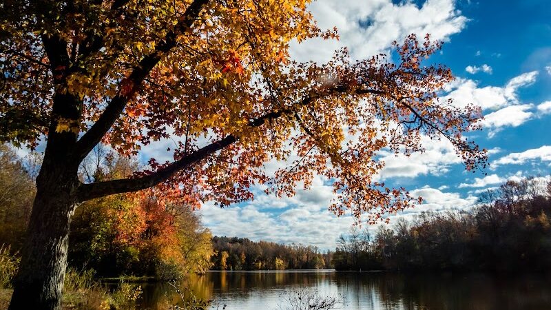 Lums Pond Dog Park - Bear, DE