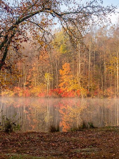 Lums Pond Dog Park - Bear, DE
