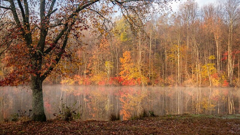 Lums Pond Dog Park - Bear, DE