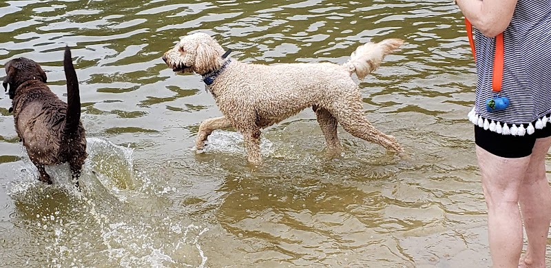 Lums Pond Dog Park - Bear, DE