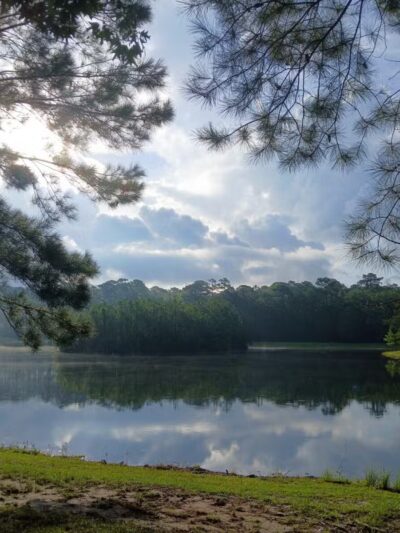 Burton Wells Dog Park - Beaufort, SC